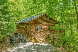 7 Ascherman Court, Blue Ridge, GA 30513 - Photo 1