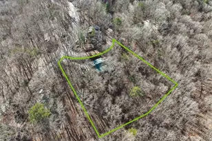 421 Cherokee Ct, Ellijay, GA 30540 - Photo 5