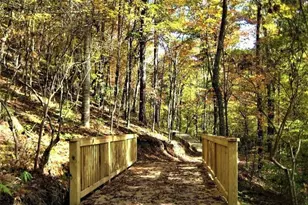 108 Cherokee Cv, Waleska, GA 30183 - Photo 35