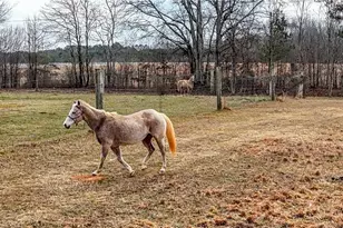298 Trestle Rd, Locust Grove, GA 30248 - Photo 37