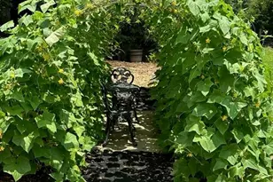 214 Horseshoe Cir, Rockmart, GA 30153 - Photo 47