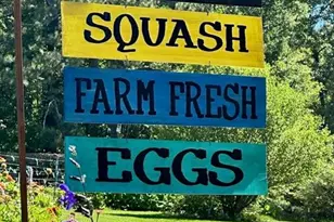 214 Horseshoe Cir, Rockmart, GA 30153 - Photo 47