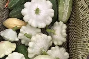 214 Horseshoe Cir, Rockmart, GA 30153 - Photo 49