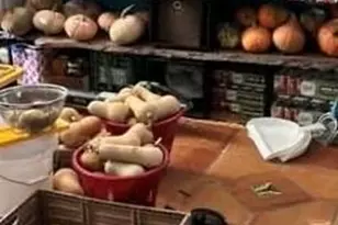 214 Horseshoe Cir, Rockmart, GA 30153 - Photo 49