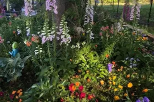 214 Horseshoe Cir, Rockmart, GA 30153 - Photo 37