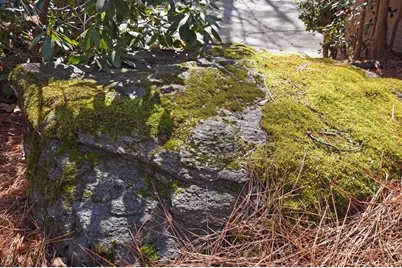 2440 Cedar Fork Trail, Marietta, GA 30062 - Photo 53