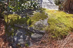 2440 Cedar Fork Trail, Marietta, GA 30062 - Photo 53