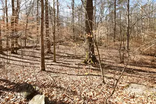 2440 Cedar Fork Trail, Marietta, GA 30062 - Photo 49