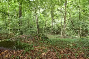 2440 Cedar Fork Trail, Marietta, GA 30062 - Photo 75