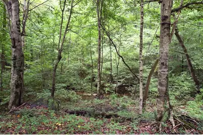 2440 Cedar Fork Trail, Marietta, GA 30062 - Photo 77