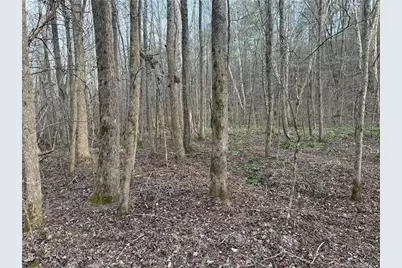 0 John Rucker Road, Elberton, GA 30635 - Photo 17