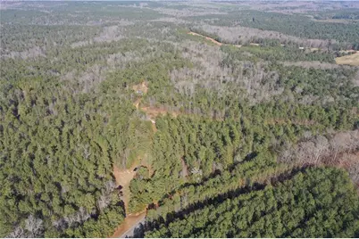 0 John Rucker Road, Elberton, GA 30635 - Photo 1