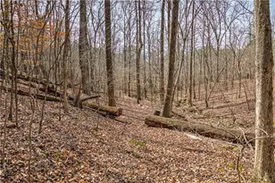 874 Town Creek Church Rd, Talking Rock, GA 30175 - Photo 73