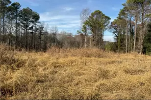 4008 Ga Hwy 120, Buchanan, GA 30113 - Photo 1