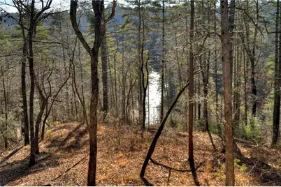 1312 Hicks Ford Road, Ellijay, GA 30540 - Photo 19