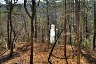 1312 Hicks Frd Rd, Ellijay, GA 30540 - Photo 19