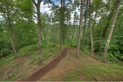 1312 Hicks Ford Road, Ellijay, GA 30540 - Photo 9