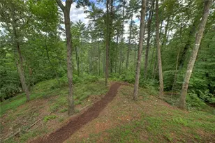 1312 Hicks Frd Rd, Ellijay, GA 30540 - Photo 9