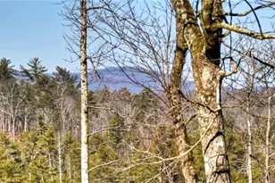 1312 Hicks Frd Rd, Ellijay, GA 30540 - Photo 7