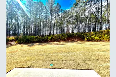 5349 Heron Bay Boulevard, Locust Grove, GA 30248 - Photo 29