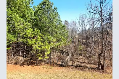 21 Cleburne Place, Acworth, GA 30101 - Photo 35