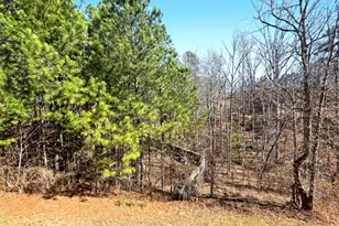 21 Cleburne Pl, Acworth, GA 30101 - Photo 35