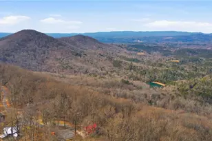 1665 Walnut Ridge, Ellijay, GA 30536 - Photo 45