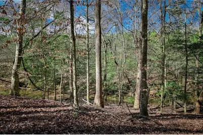 395 Willow Shoals Drive, Covington, GA 30016 - Photo 19