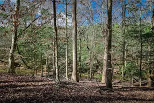 395 Willow Shoals Dr, Covington, GA 30016 - Photo 19