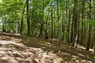 219 Ridge Top Lane, Blue Ridge, GA 30513 - Photo 47