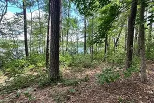 0 W Hwy 34 W, Newnan, GA 30263 - Photo 1