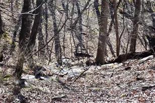 716 Moss Patch Trail, Jasper, GA 30143 - Photo 25