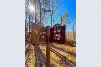 00 Horse Cove Court, Jasper, GA 30143 - Photo 3