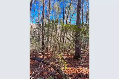 00 Horse Cove Court, Jasper, GA 30143 - Photo 19