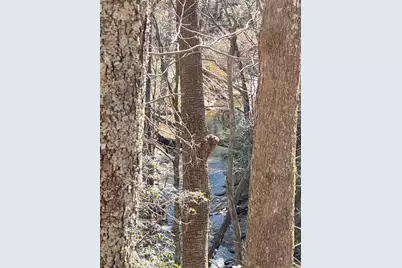 00 Horse Cove Court, Jasper, GA 30143 - Photo 5