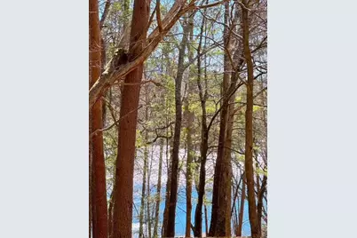 00 Horse Cove Court, Jasper, GA 30143 - Photo 11