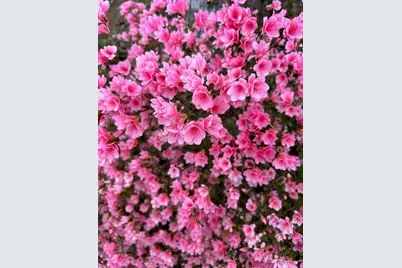 3137 Beechwood Drive, Lithia Springs, GA 30122 - Photo 57