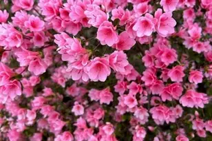 3137 Beechwood Dr, Lithia Springs, GA 30122 - Photo 57