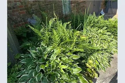 3137 Beechwood Drive, Lithia Springs, GA 30122 - Photo 63