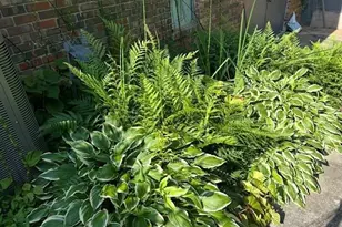 3137 Beechwood Dr, Lithia Springs, GA 30122 - Photo 63