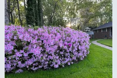 3137 Beechwood Drive, Lithia Springs, GA 30122 - Photo 59