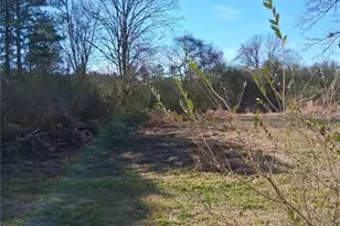 161 Meadowbrooke Ln, Summerville, GA 30747 - Photo 9