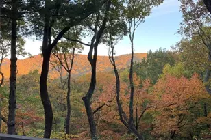 288 Tea Berry Ln, Jasper, GA 30143 - Photo 37