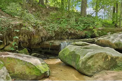 250 Stagecoach Road, Oxford, GA 30054 - Photo 65