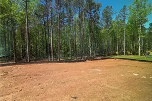 253 Meadows Dr, Bethlehem, GA 30620 - Photo 19