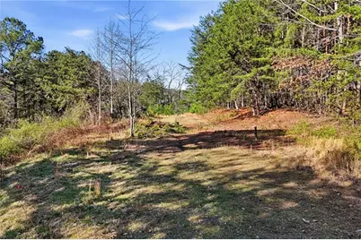 1139 Davis Road W, Fairmount, GA 30139 - Photo 39