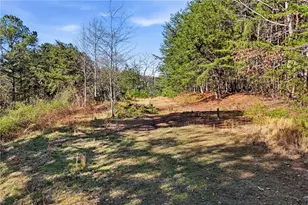 1139 Davis Rd W, Fairmount, GA 30139 - Photo 39