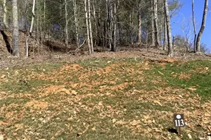 Lot113 High River Crossing, Ellijay, GA 30540 - Photo 1