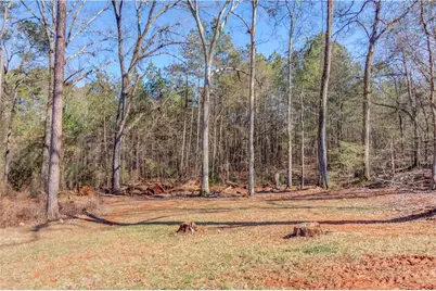 104 Jacob Drive, Hoschton, GA 30548 - Photo 37