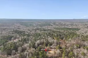 1470 Ben Davis Rd, Buchanan, GA 30113 - Photo 47